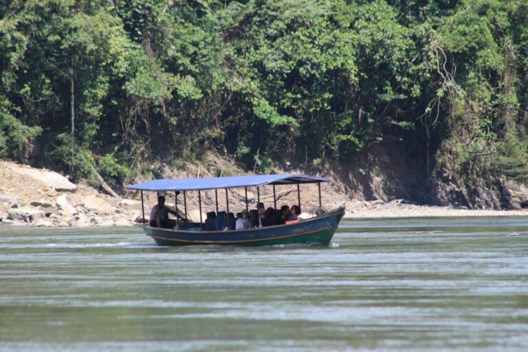 JUNGLE 10 trips peru cusco amazonn wildlife