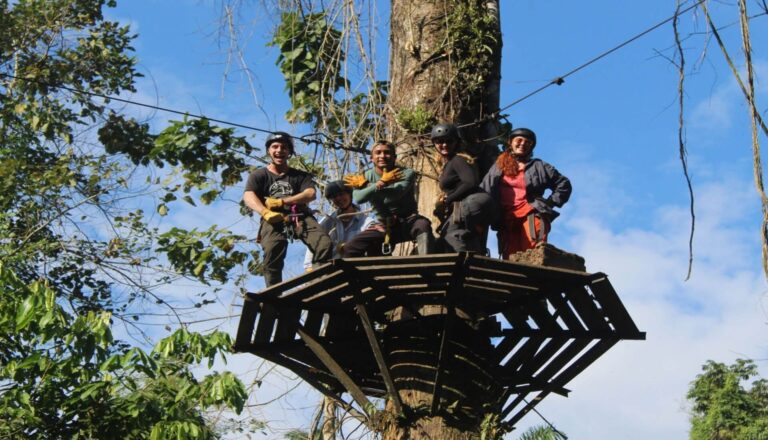 gallito rocas manu jungle expeditions trips cusco amazon peru 10