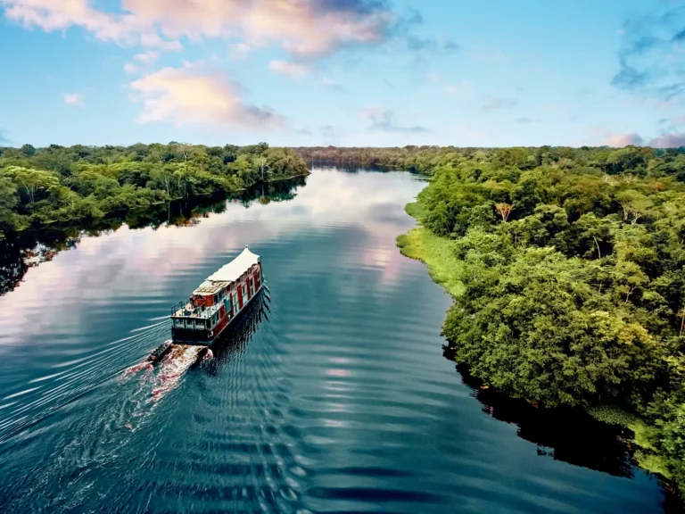 Best Time to Visit the Amazon Rainforest: High Water vs. Low Water Season